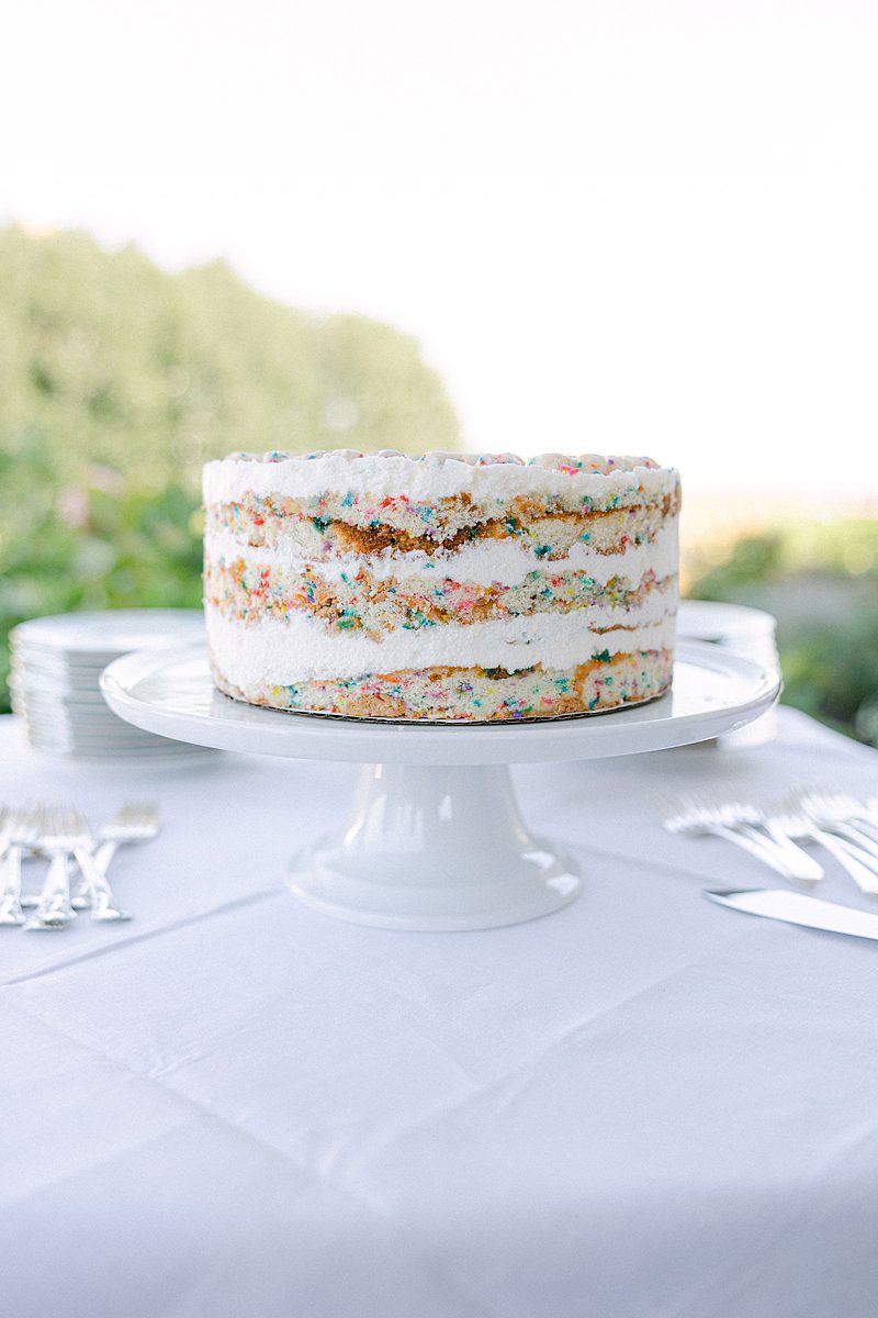 CLOSE UP OF CONFETTI CAKE WEDDING CAKE 